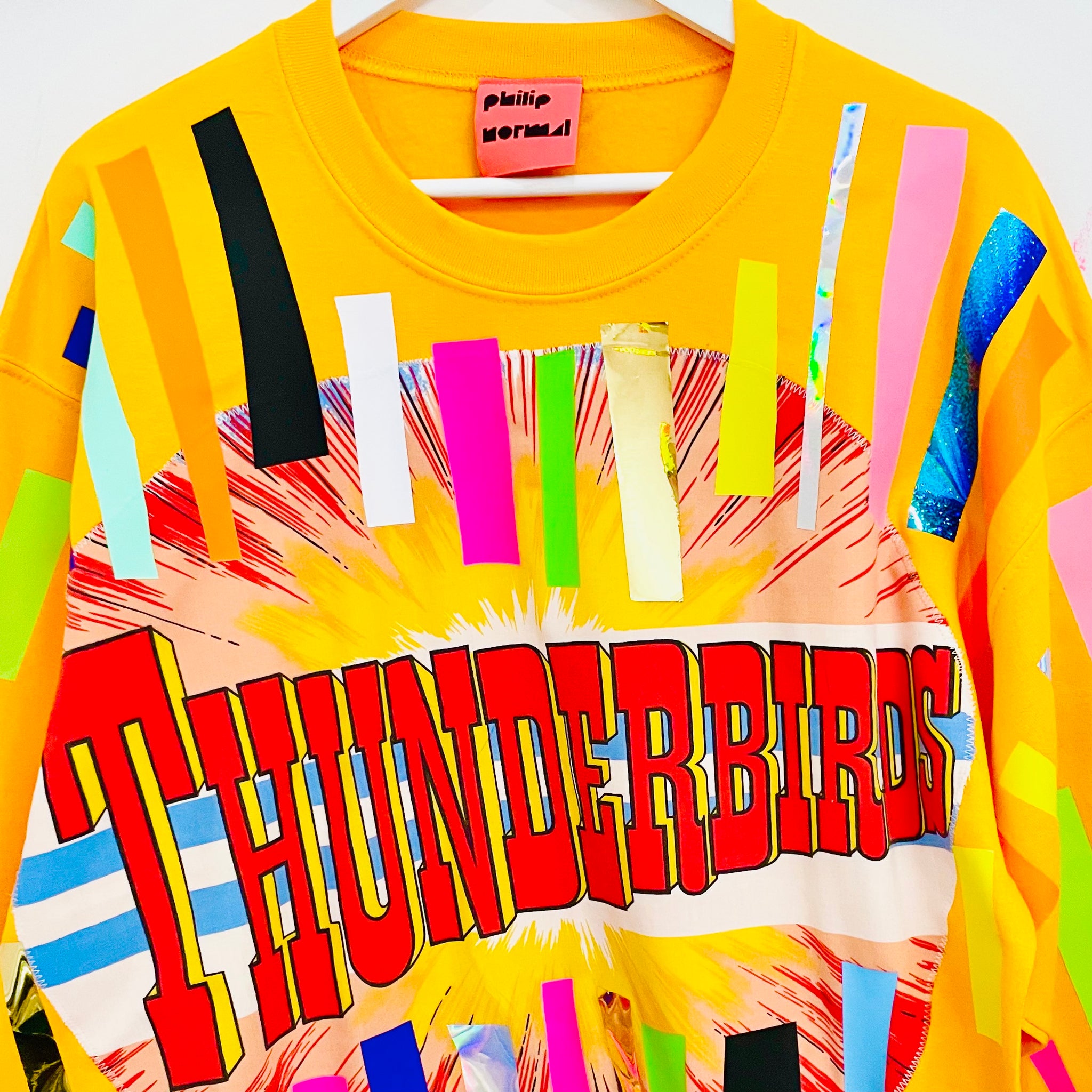 Thunderbirds Off cuts Sweatshirt